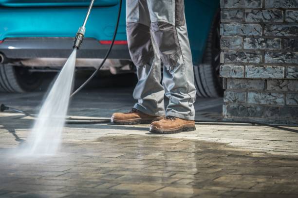 Best Fleet Vehicle Washing  in Louisburg, NC