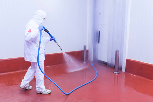 Pre-Holiday Cleaning in Louisburg, NC