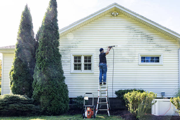 Best Solar Panel Cleaning  in Louisburg, NC