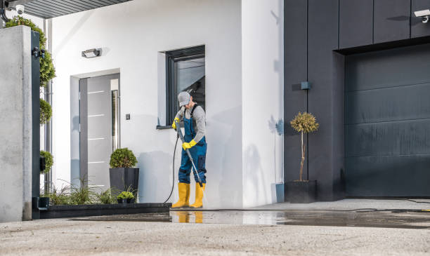 Best Fleet Vehicle Washing  in Louisburg, NC